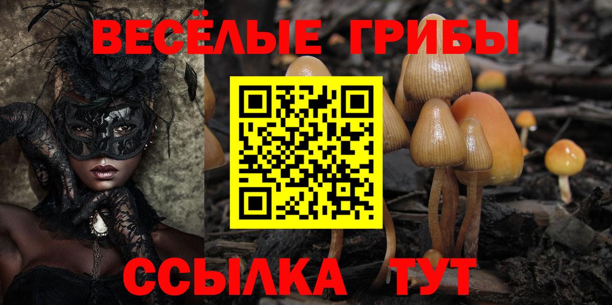 Галлюциногенные грибы Cubensis  Вход с VPN  Псилоцибиновые грибы Cubensis  Елизово 