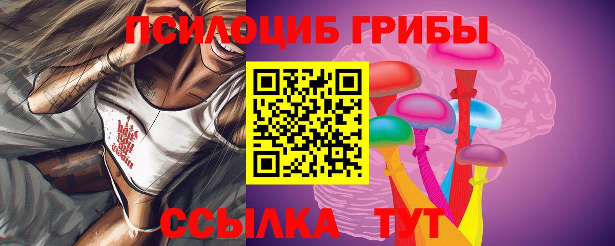 Псилоцибиновые грибы GOLDEN TEACHER Елизово